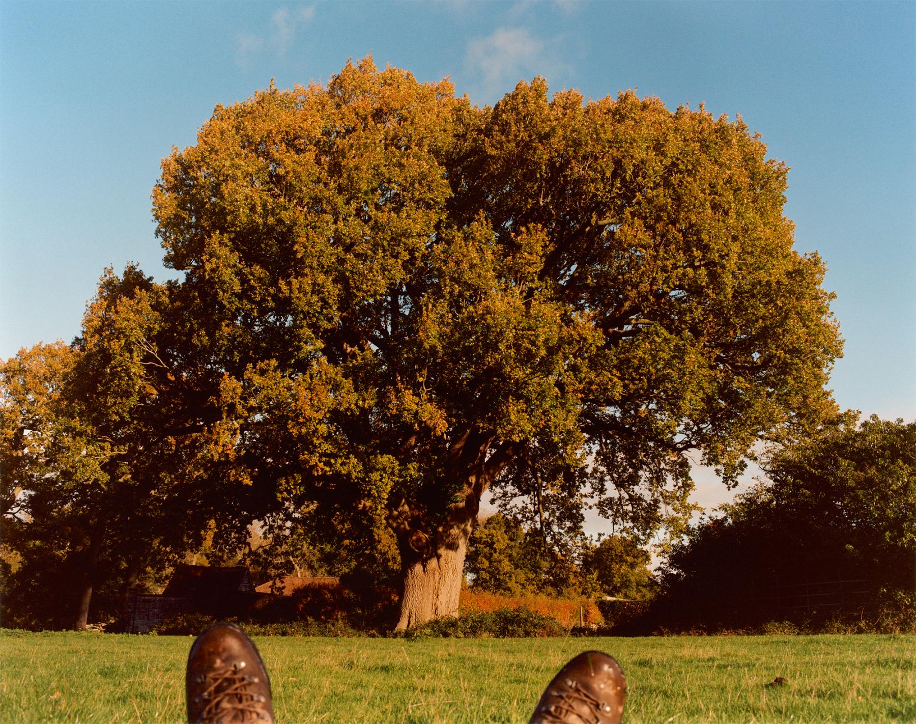 The Gentlewoman Isabella Tree